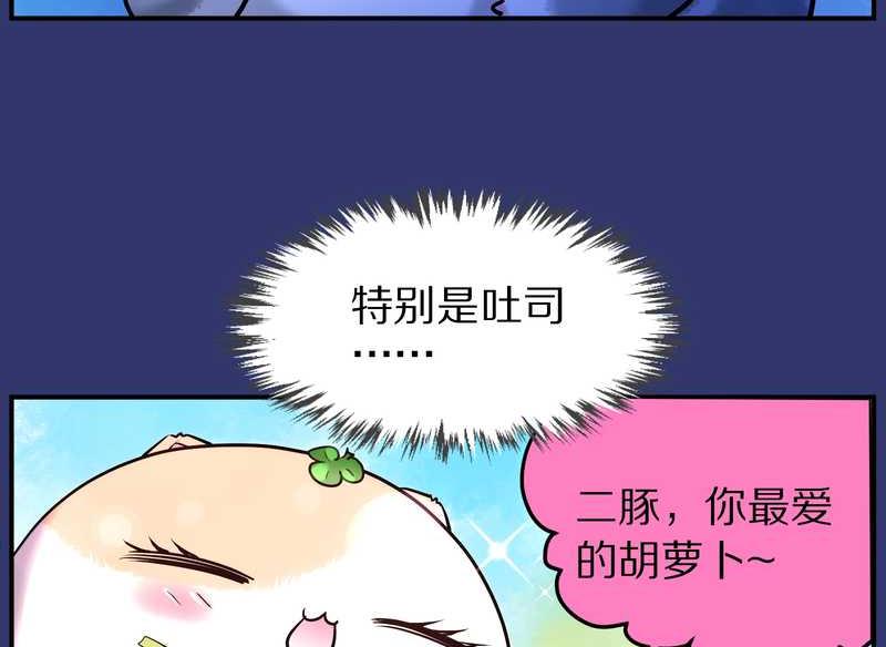 毛球星传说 第88集85