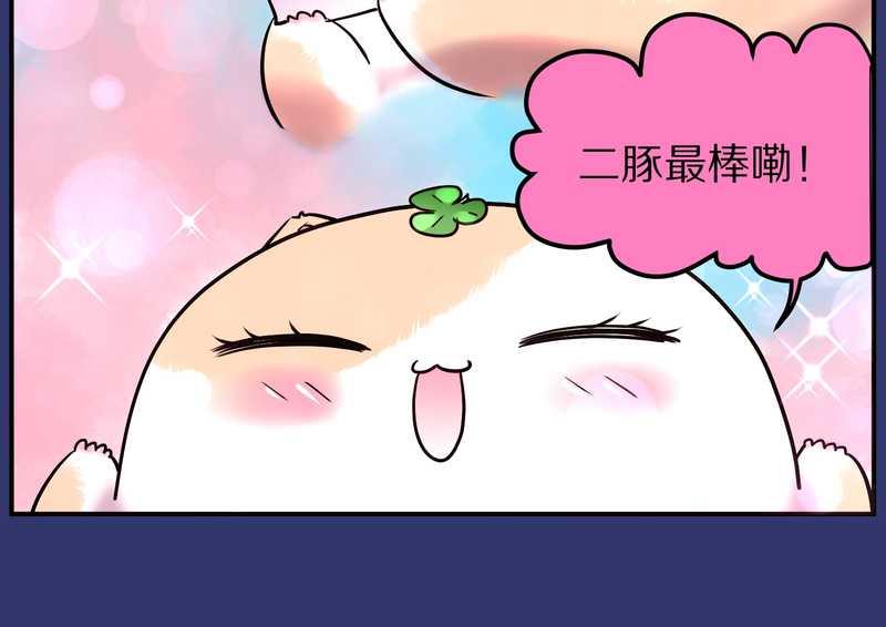 毛球星传说 第88集87