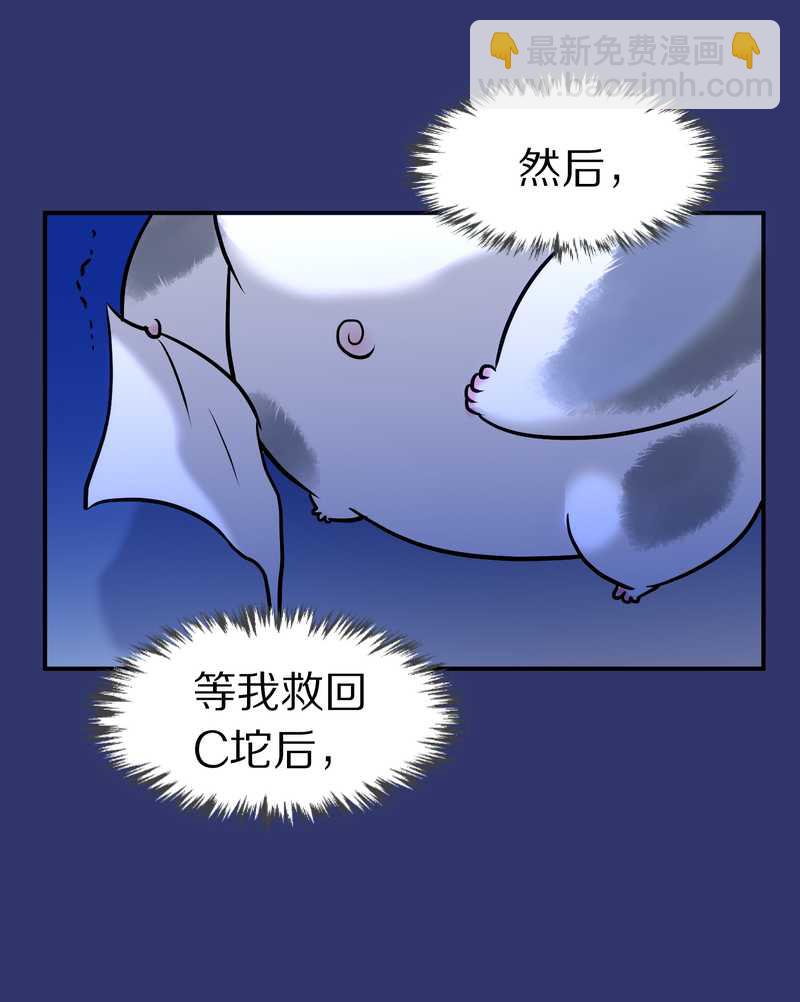 毛球星传说 第88集91