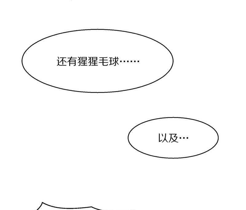 毛球星传说 第92集43