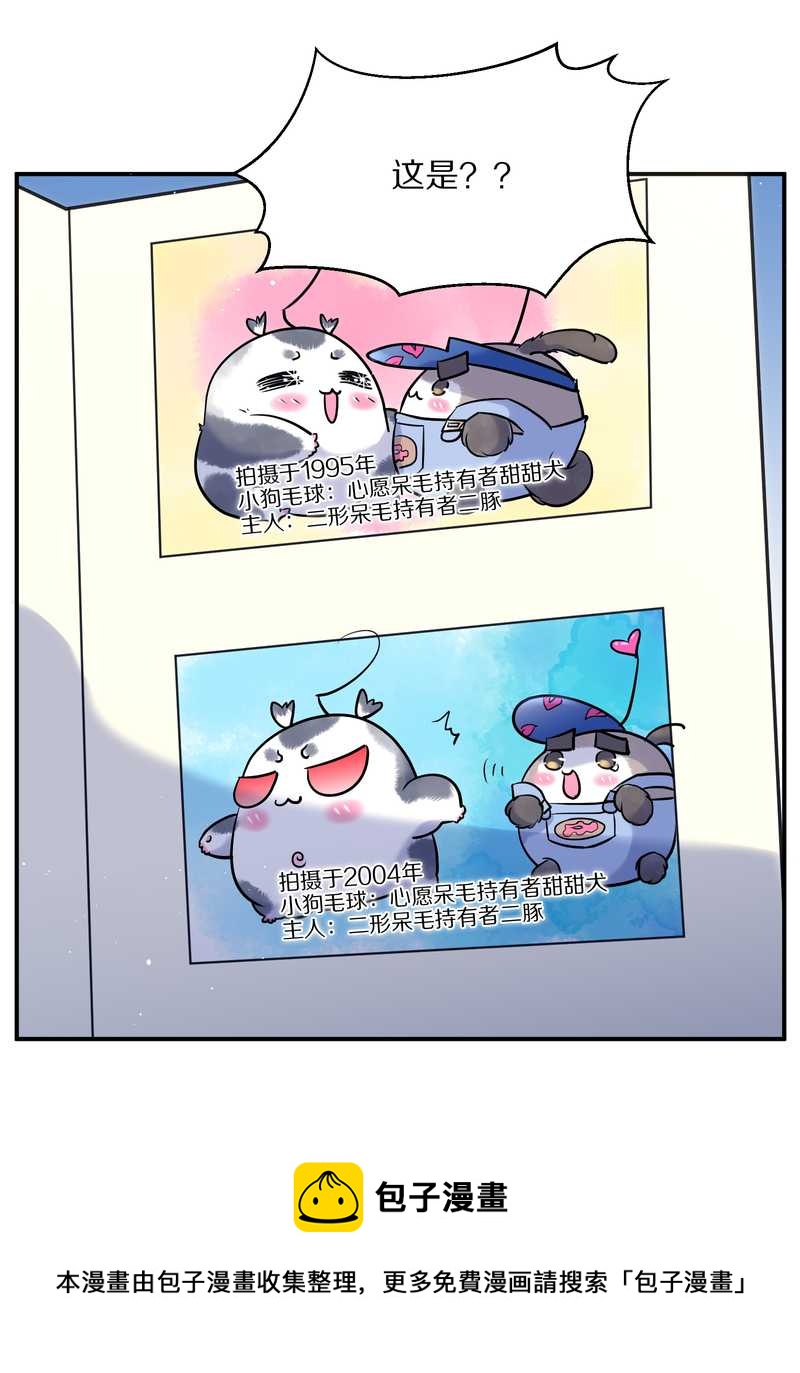 毛球星传说 第92集60