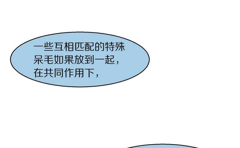 毛球星传说 第92集63