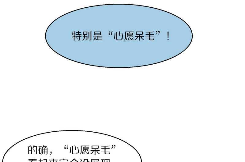 毛球星传说 第92集69