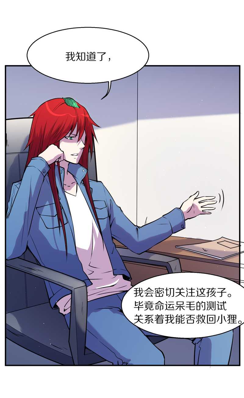 毛球星传说 第92集75