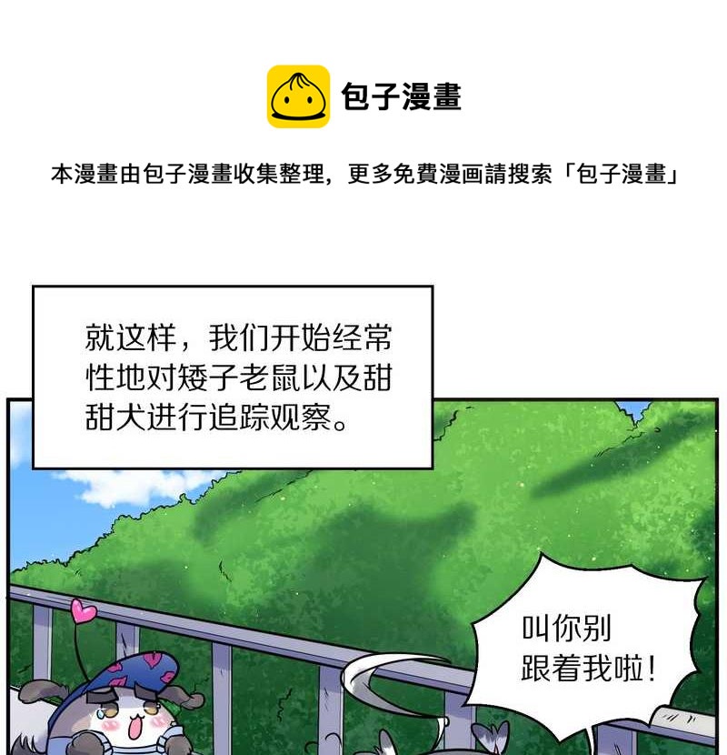 毛球星传说 第92集92