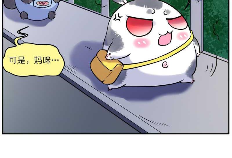 毛球星传说 第92集93