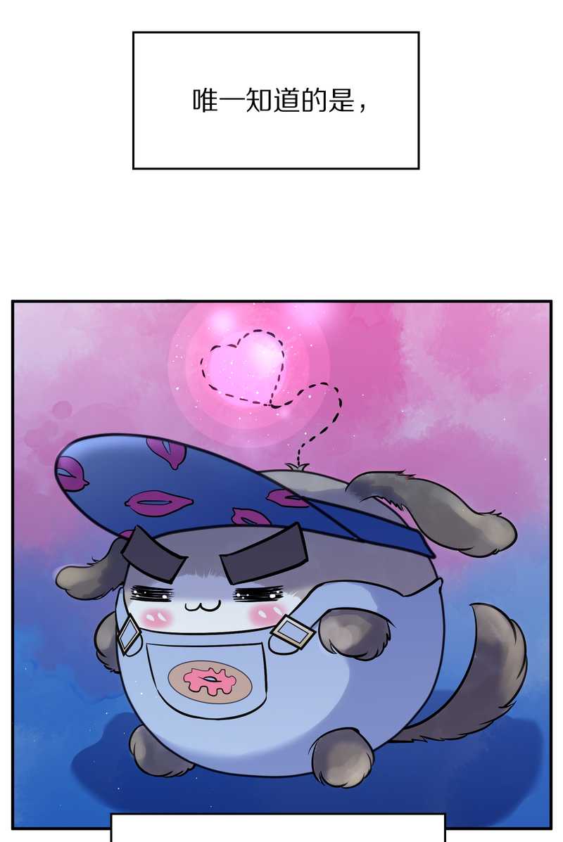 毛球星传说 第92集99