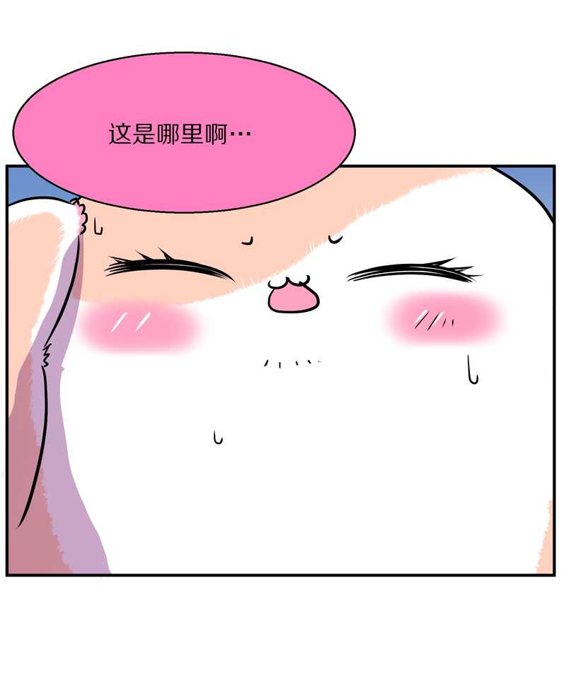 毛球星传说 第95集13