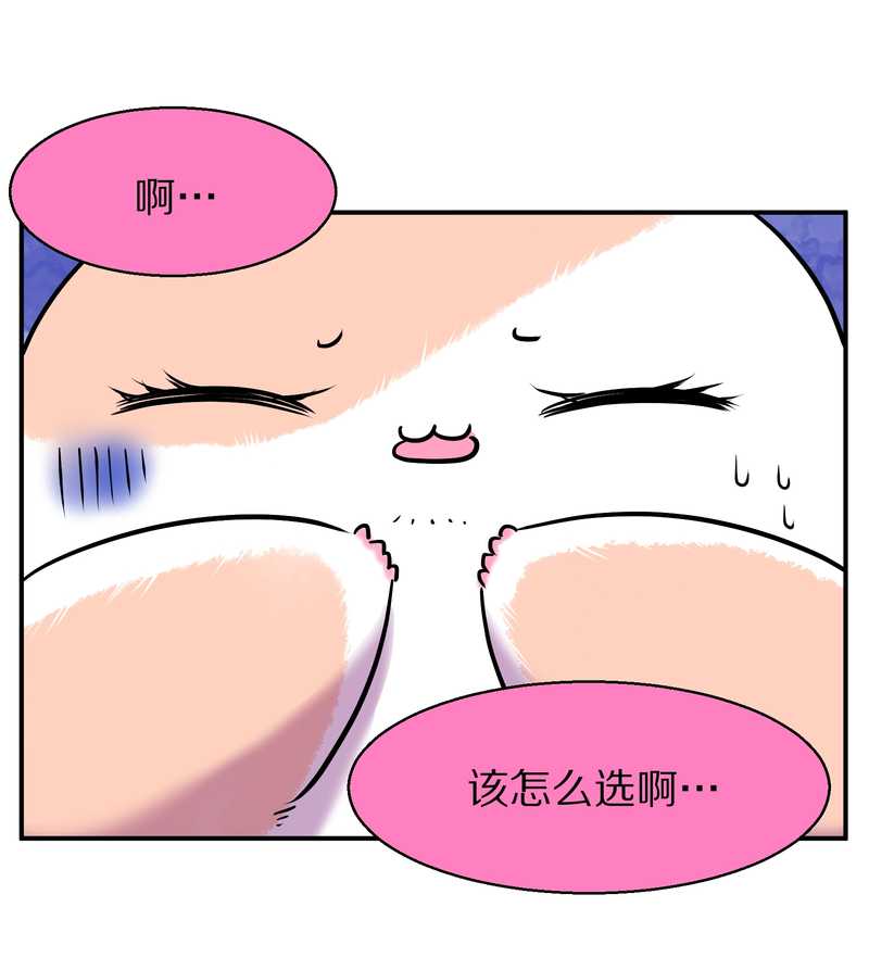 毛球星传说 第95集15