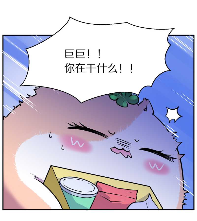 毛球星传说 第95集26