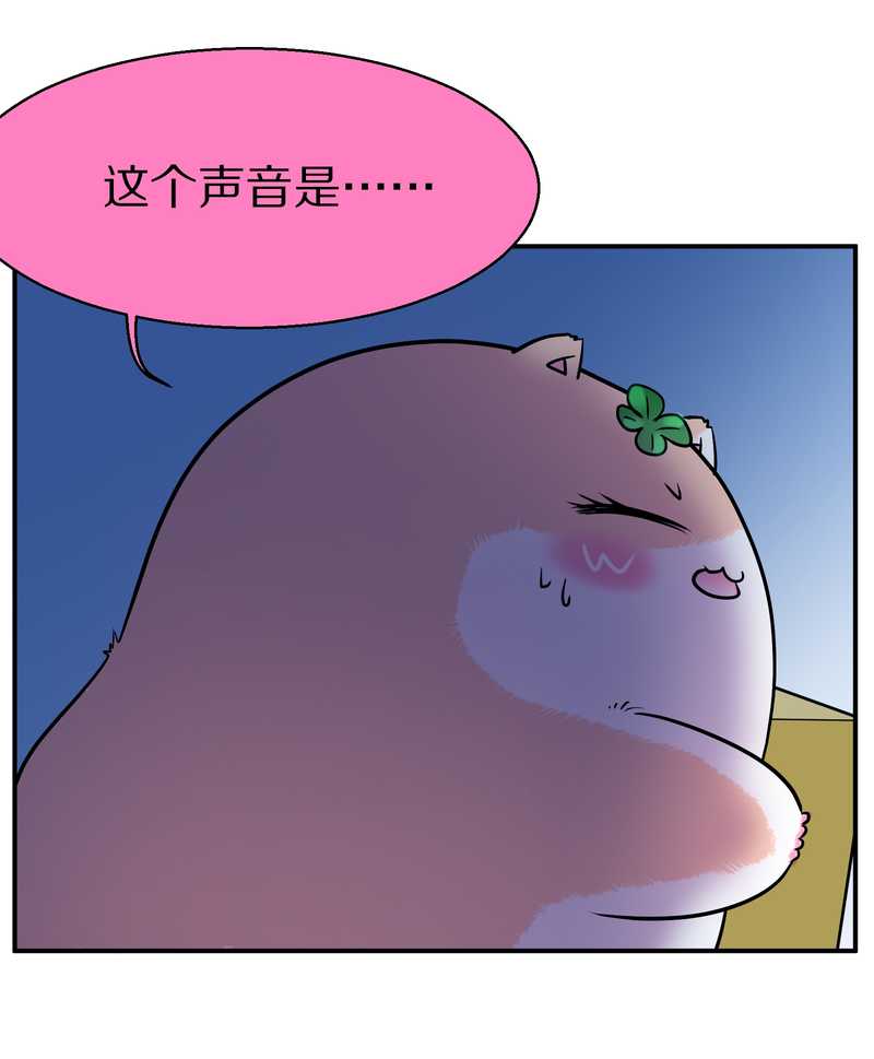 毛球星传说 第95集27