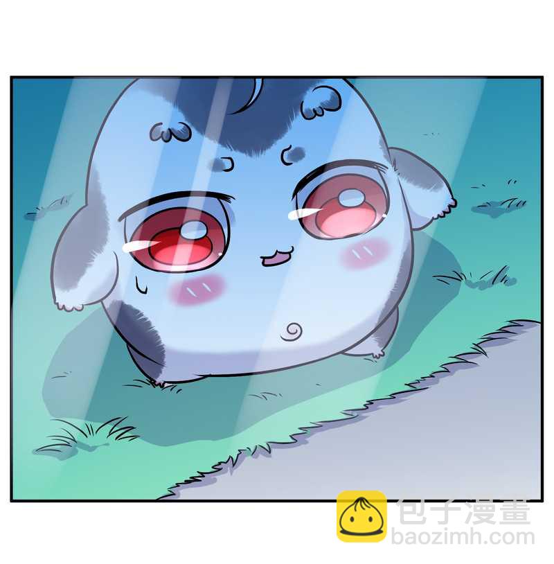 毛球星传说 第95集33