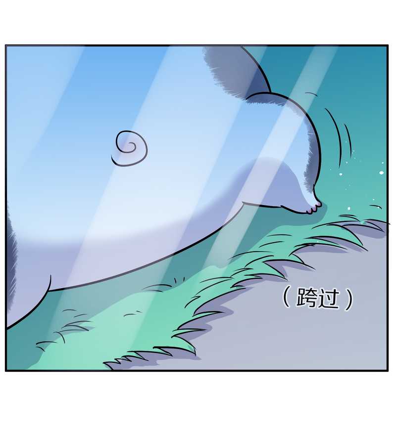 毛球星传说 第95集34