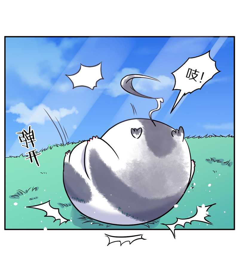 毛球星传说 第95集35