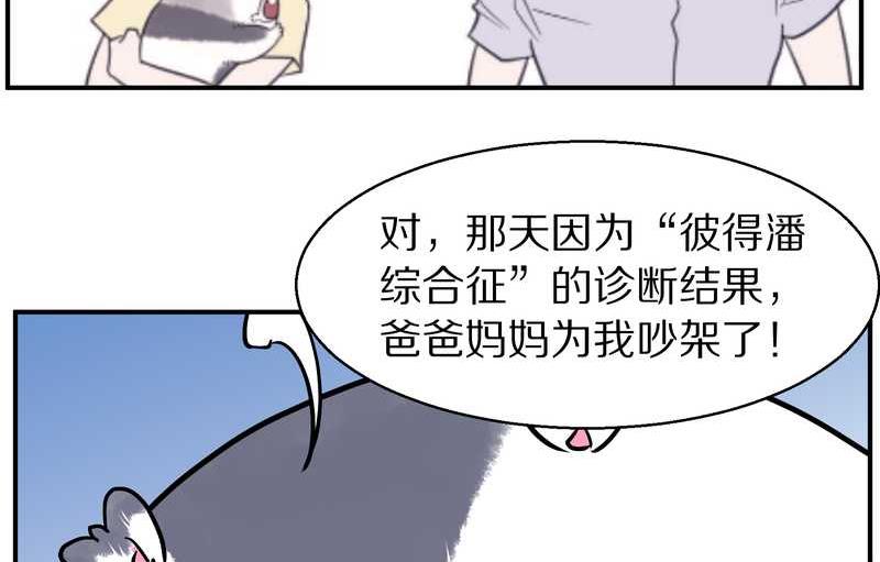 毛球星传说 第95集42