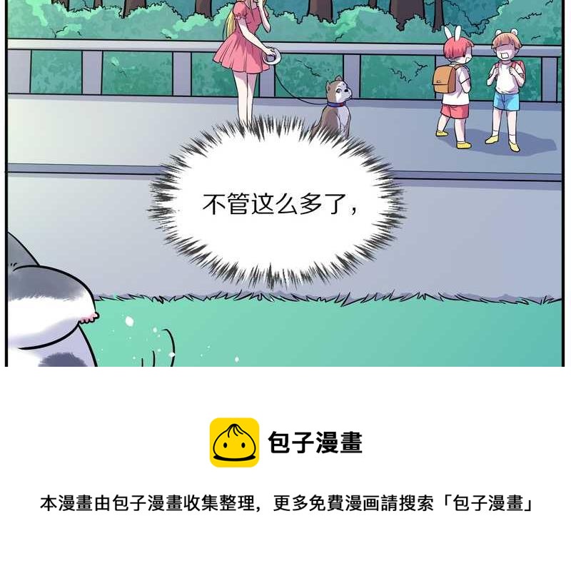 毛球星传说 第95集56