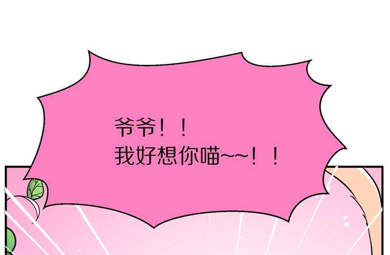 毛球星传说 第95集63
