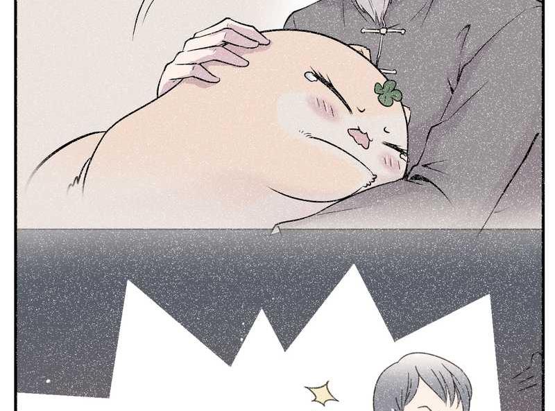 毛球星传说 第95集77