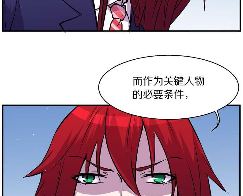 毛球星传说 第95集81