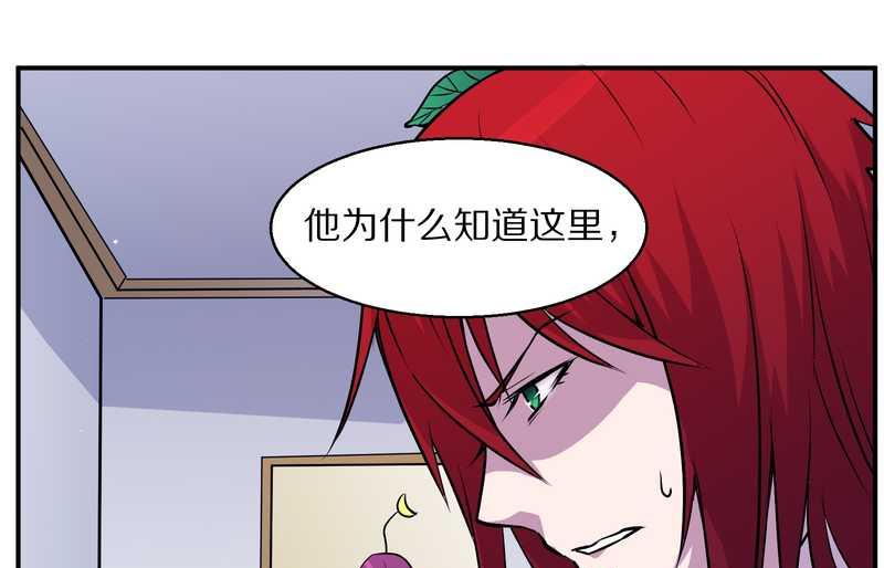 毛球星传说 第95集89