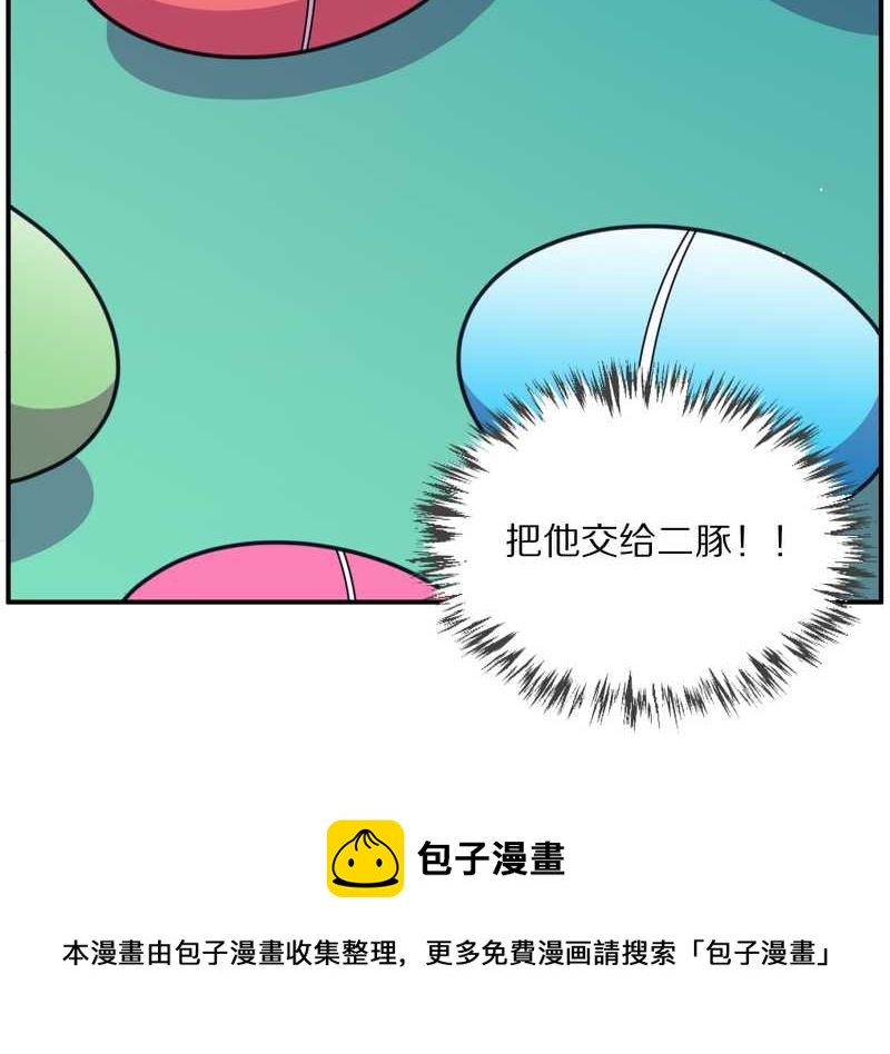 毛球星传说 第95集96