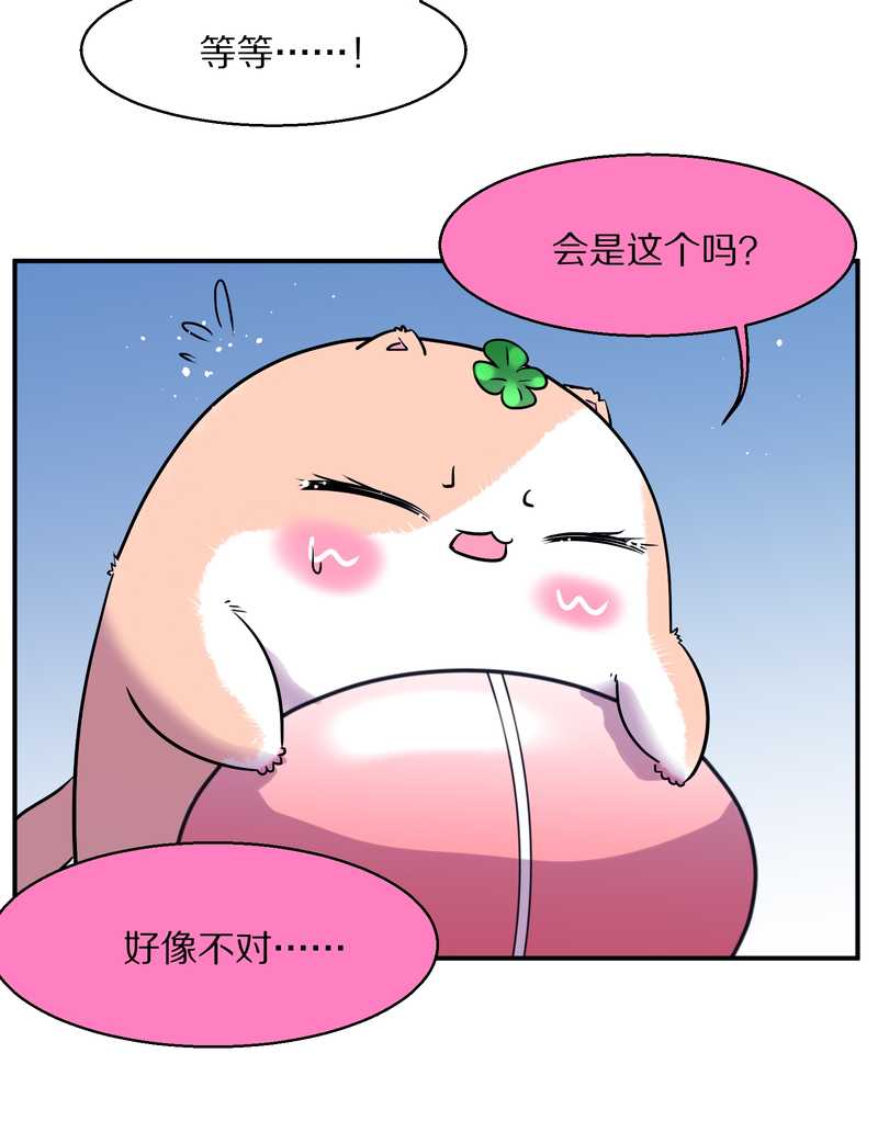 毛球星传说 第96集17