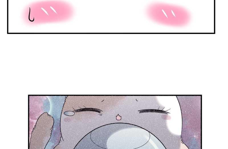 毛球星传说 第96集22