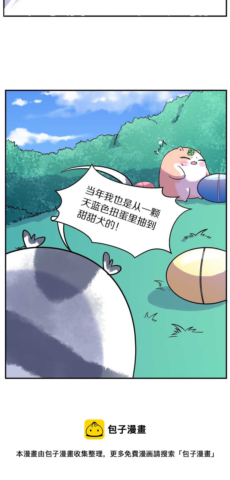 毛球星传说 第96集28