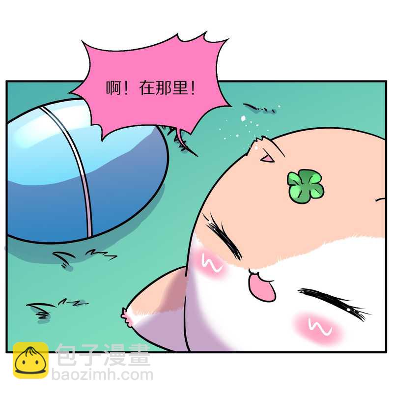 毛球星传说 第96集29