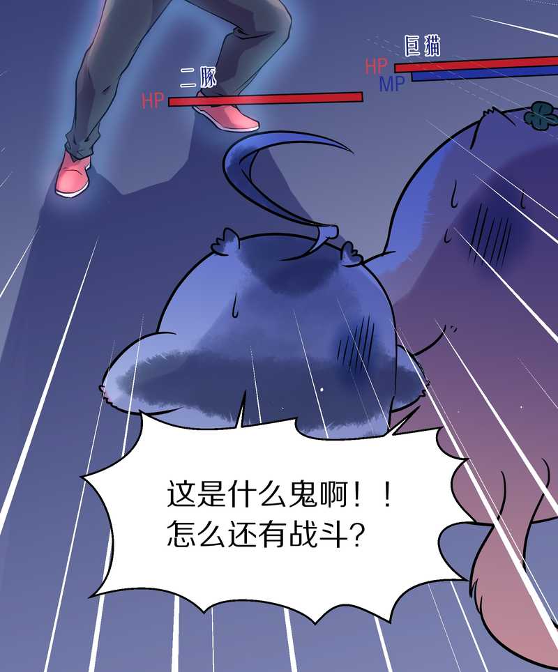 毛球星传说 第96集38