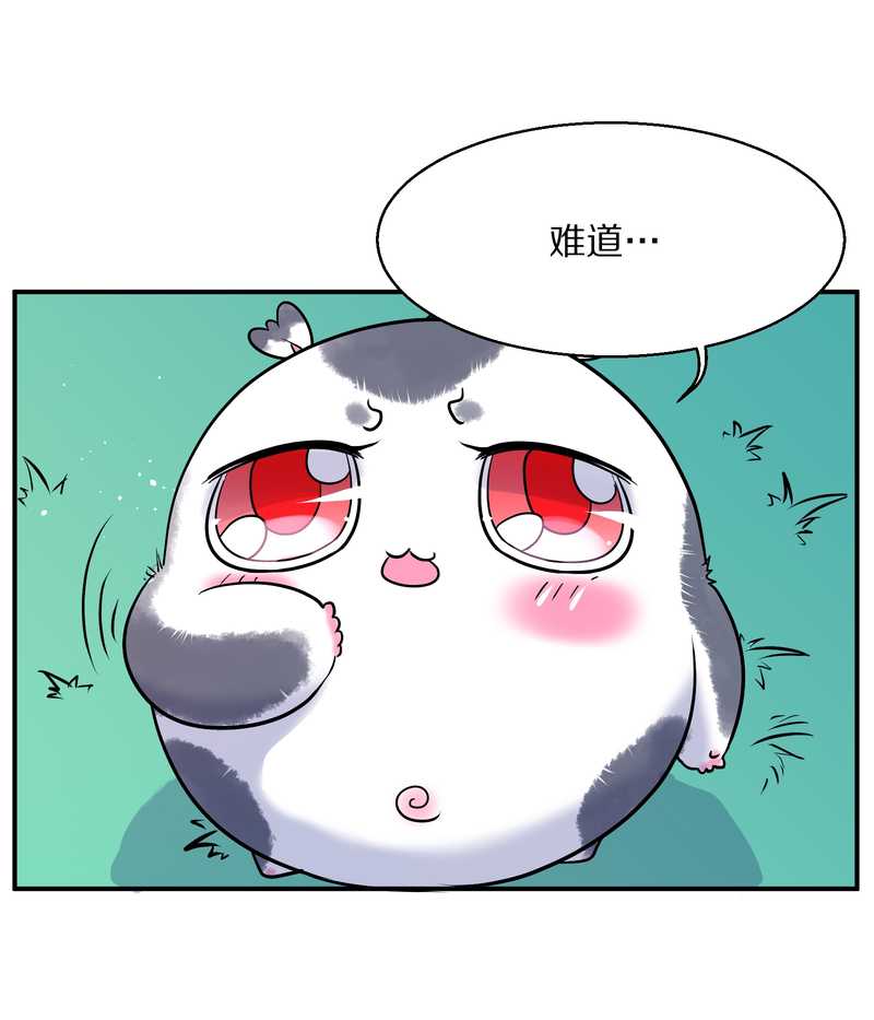 毛球星传说 第96集67