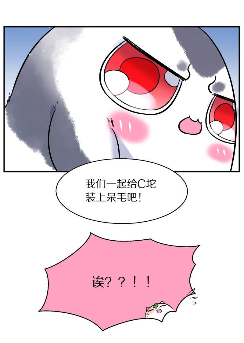 毛球星传说 第96集70