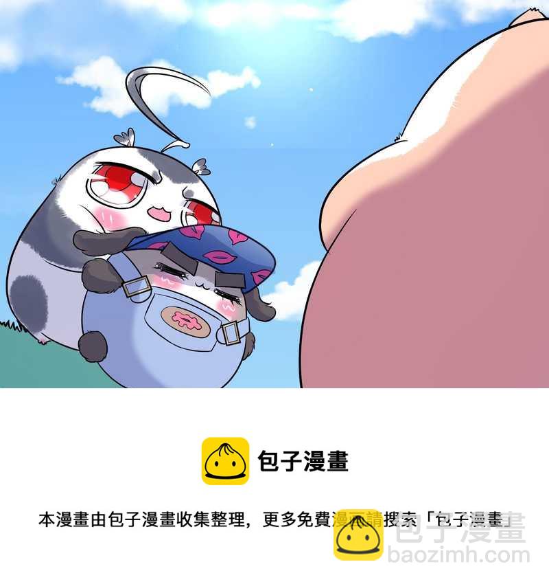 毛球星传说 第96集72