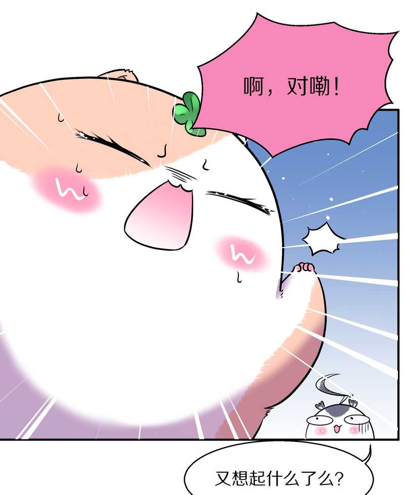 毛球星传说 第96集89
