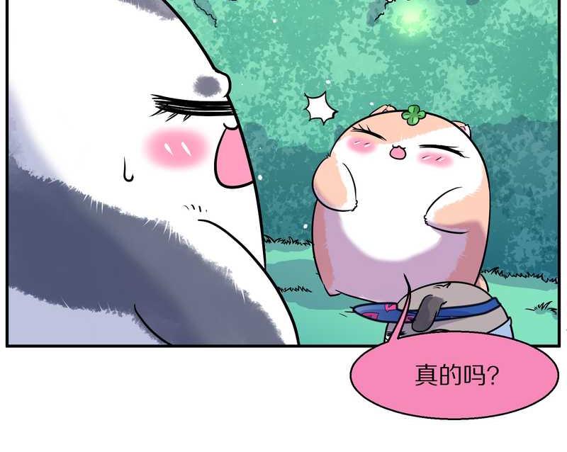 毛球星传说 第96集93