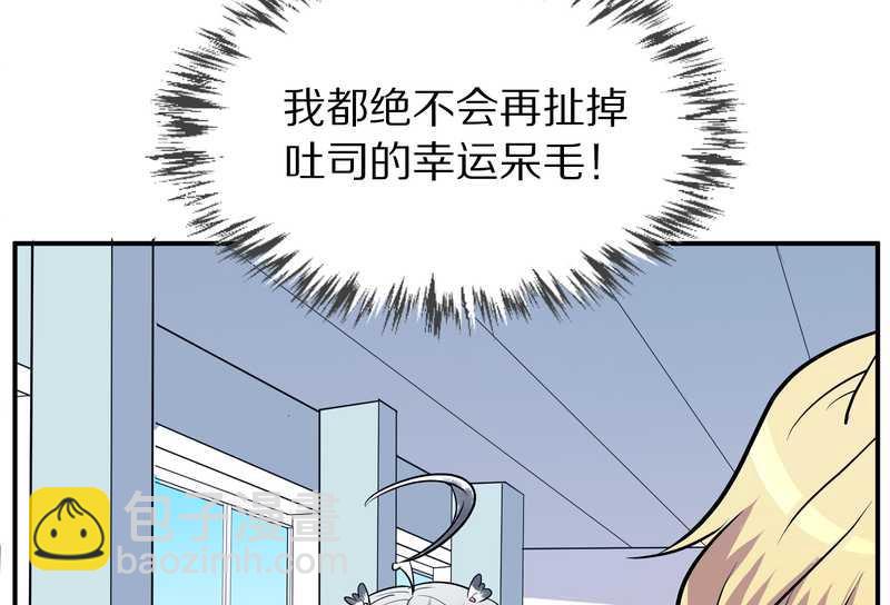 毛球星传说 第99集101