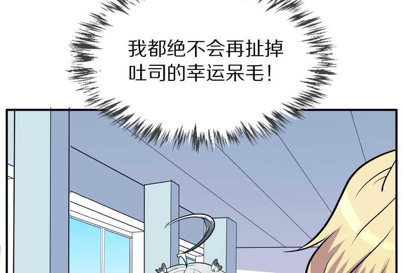 毛球星传说 第99集105