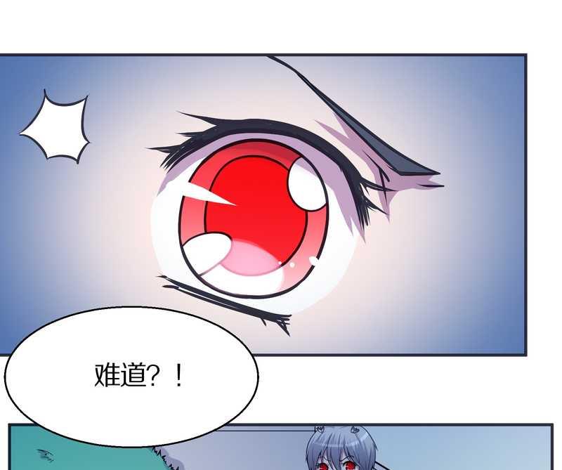 毛球星传说 第99集14
