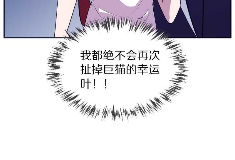 毛球星传说 第99集27