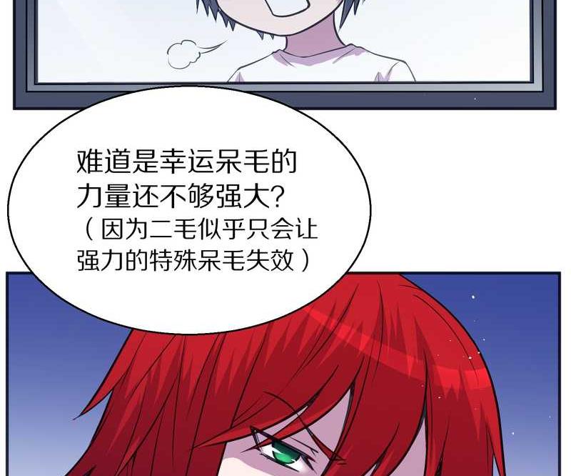 毛球星传说 第99集35