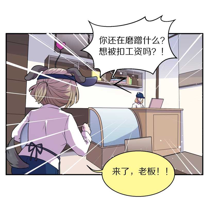毛球星传说 第99集53
