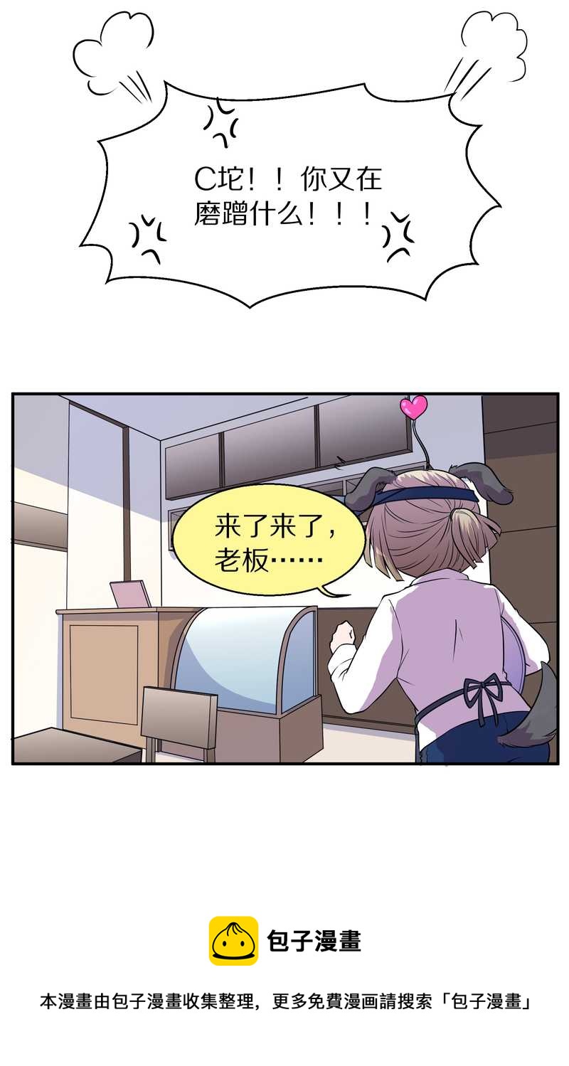 毛球星传说 第99集68