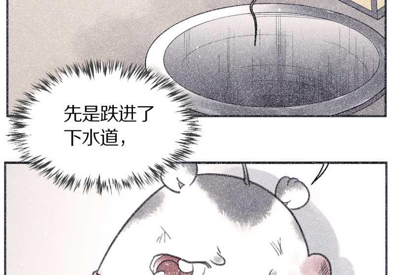 毛球星传说 第99集7