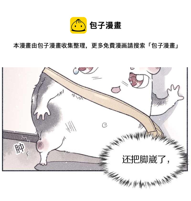毛球星传说 第99集8