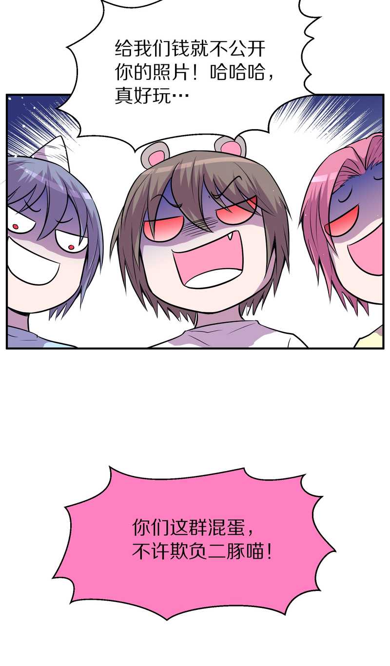 毛球星传说 第99集82
