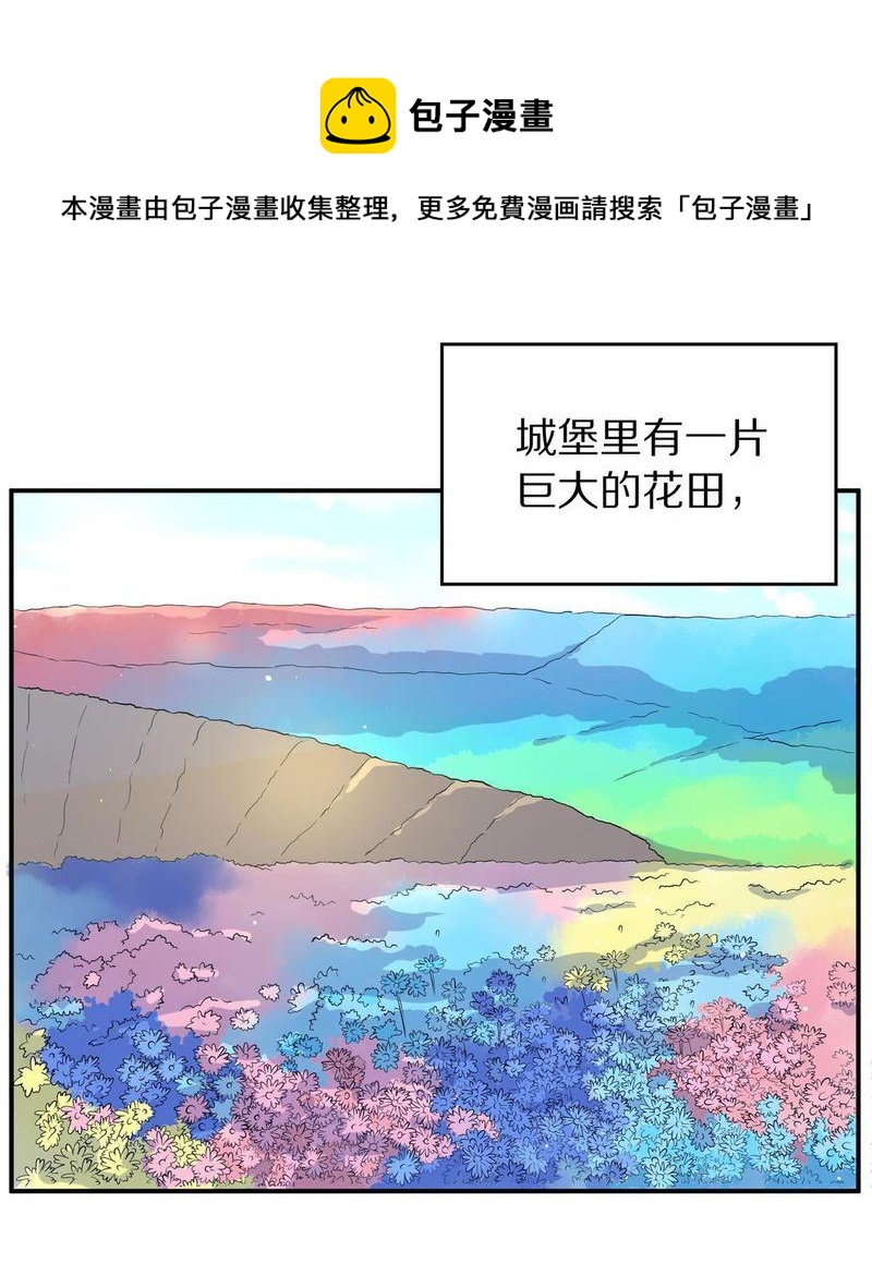 毛球星传说  第104集4