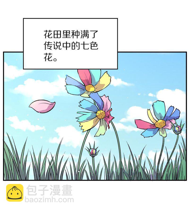 毛球星传说  第104集5