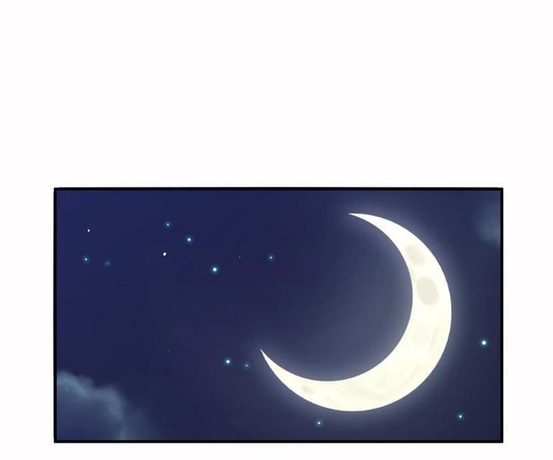 毛球星传说  第104集65