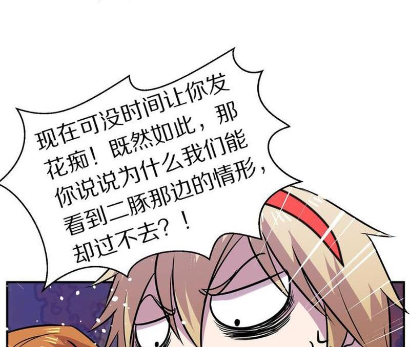 毛球星传说  第105集115