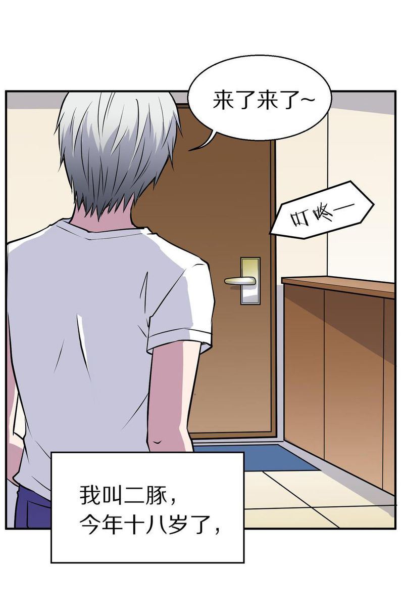 毛球星传说  第105集39